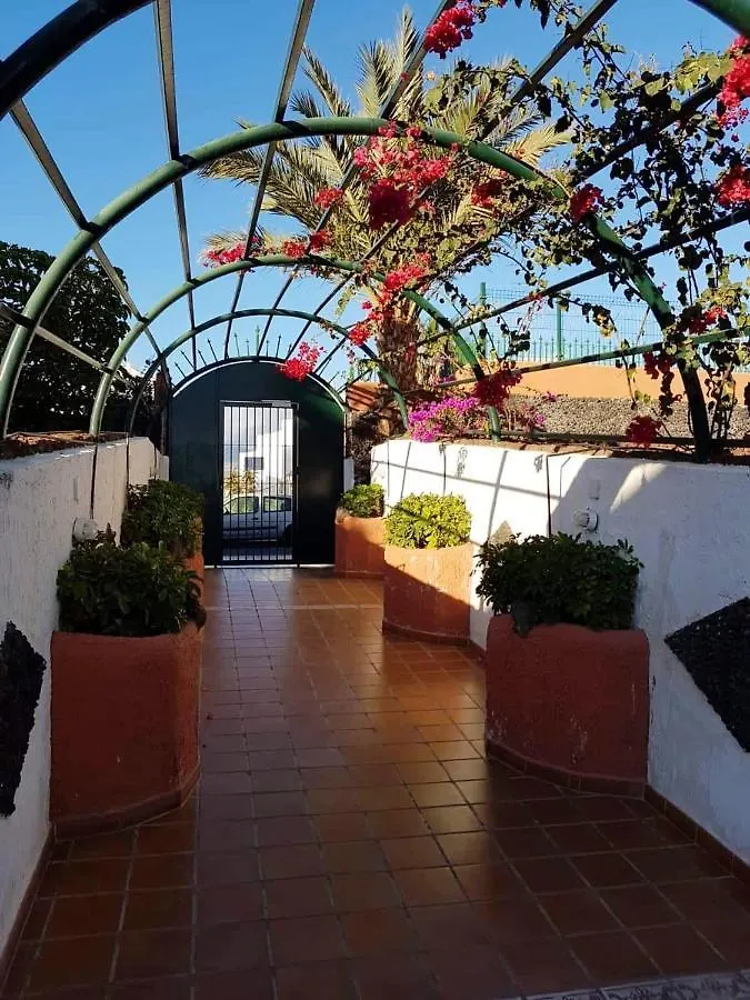 Apartment One Bedroom Appartement With Shared Pool Garden And Wifi At Costa Del Silencio 1 Km Away From The Beach