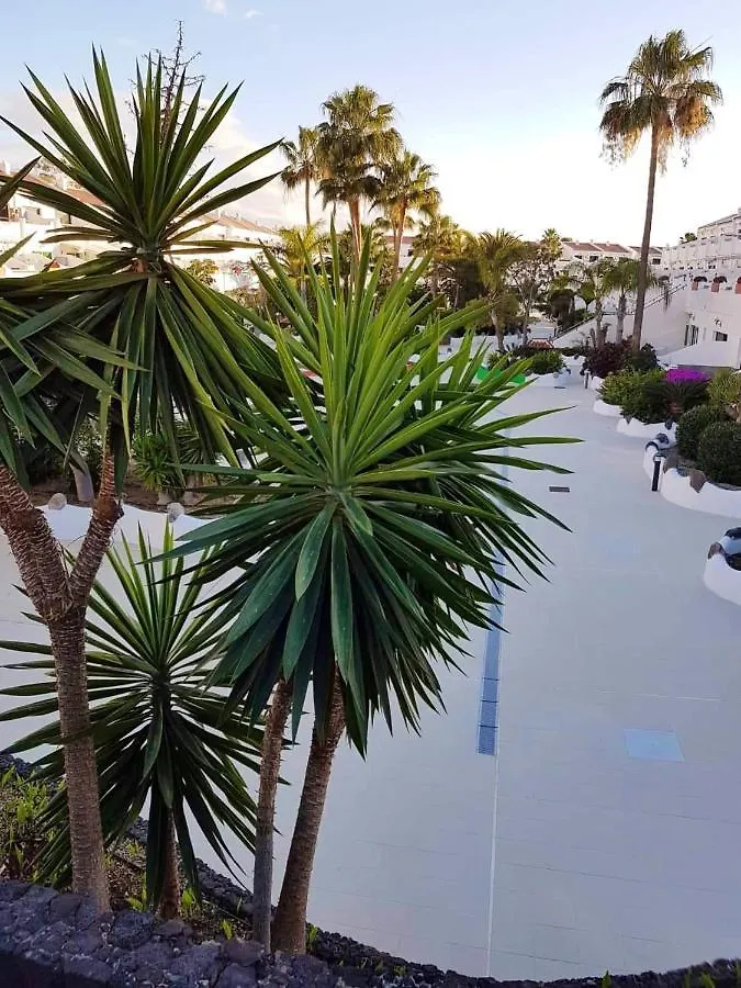 One Bedroom Appartement With Shared Pool Garden And Wifi At Costa Del Silencio 1 Km Away From The Beach Spain
